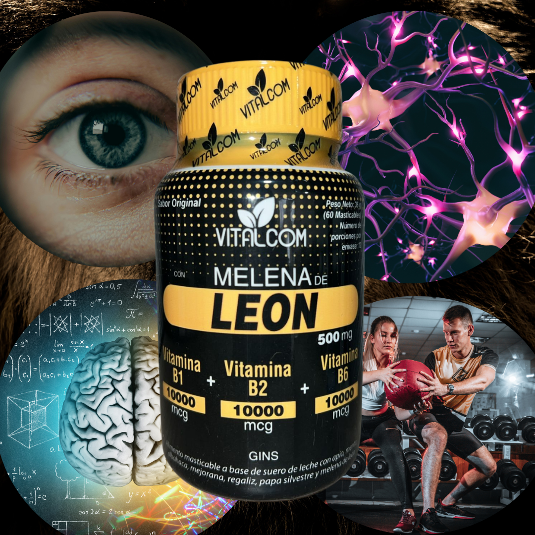 🍄🧠 Melena de León – Haz rugir tu enfoque